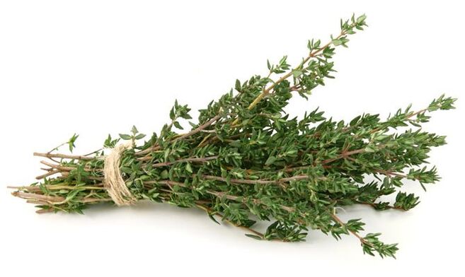 tymianek na powiększenie penisa